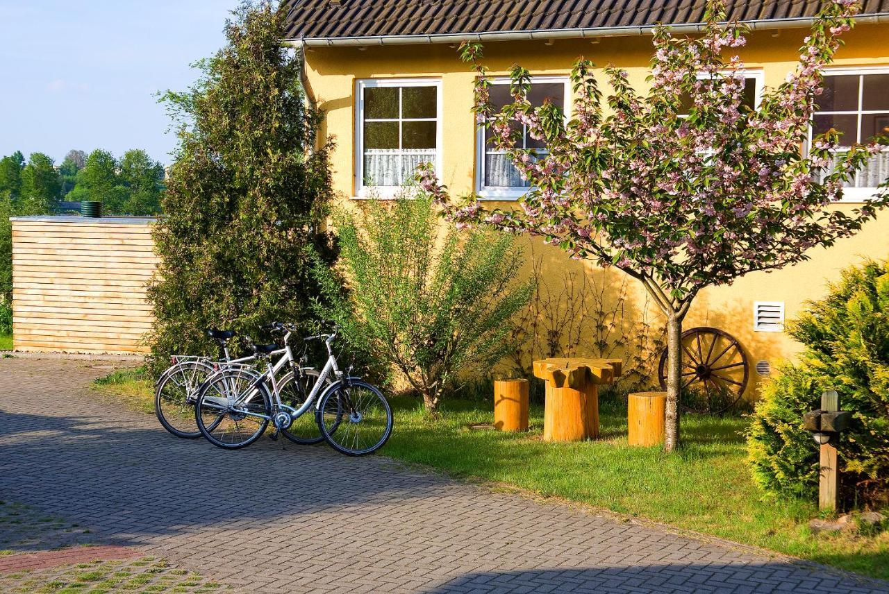 וארן Hotel Am Mueritz-Nationalpark מראה חיצוני תמונה